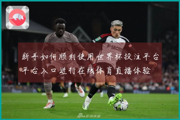 新手如何顺利使用世界杯投注平台平台入口进行在线体育直播体验