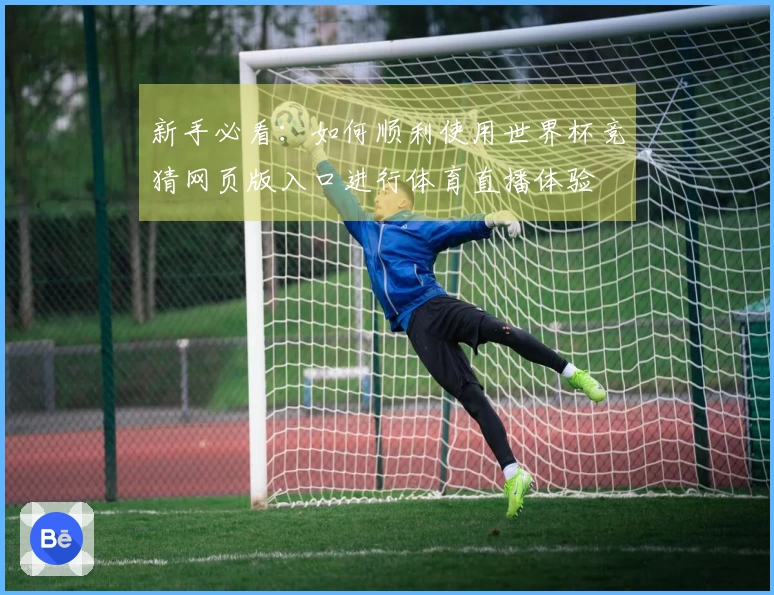 新手必看：如何顺利使用世界杯竞猜网页版入口进行体育直播体验