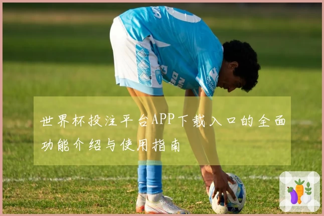 世界杯投注平台APP下载入口的全面功能介绍与使用指南