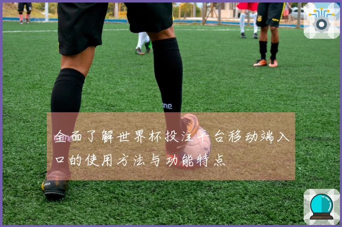 全面了解世界杯投注平台移动端入口的使用方法与功能特点