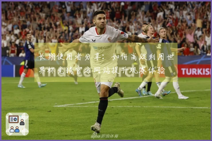 长期使用者分享：如何高效利用世界杯竞猜官方网站提升观赛体验