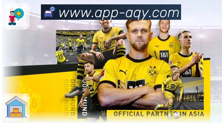 爱奇艺平台展示图